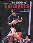 The Spirit of Teams